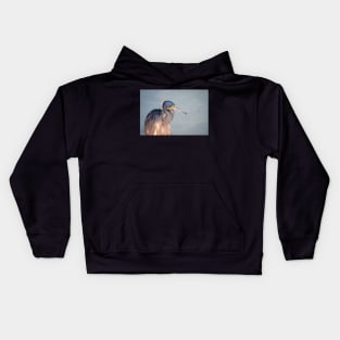 Tri-colored Heron Portrait in Morning Light Kids Hoodie